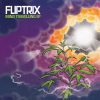 Fliptrix – Earth’s Axis