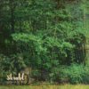 Skrabl – Wood For The Trees