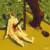 Jam Baxter – By Morning / Blue Silk Blindfold